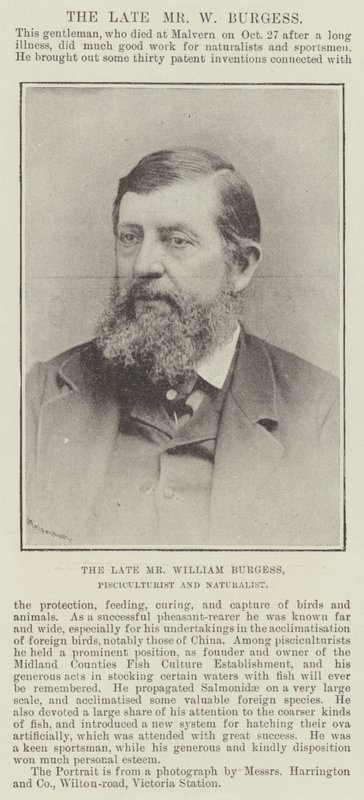 Den afdøde hr. William Burgess, fiskekulturforsker og naturforsker af English Photographer