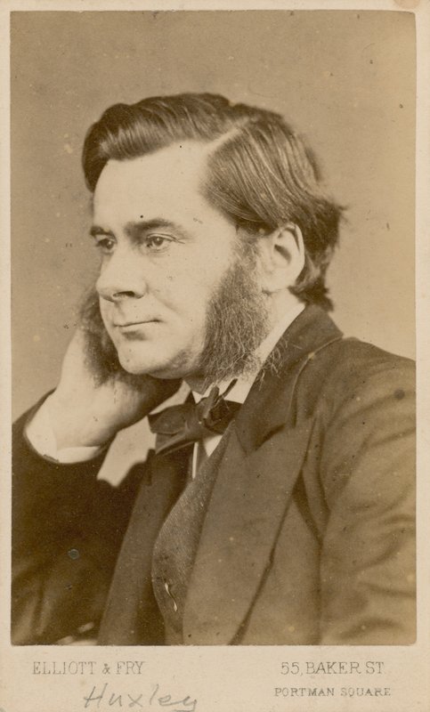 Thomas Henry Huxley af English Photographer