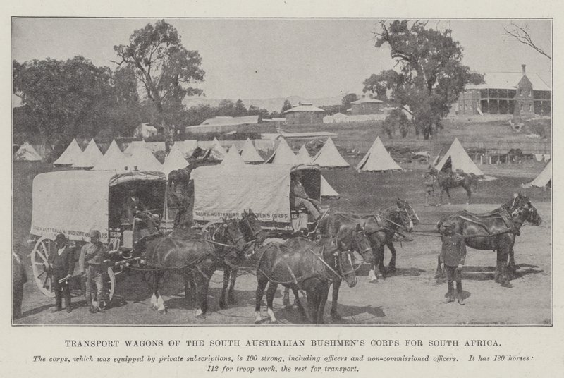 Transportvogne fra South Australian Bushmens Corps til Sydafrika af English Photographer
