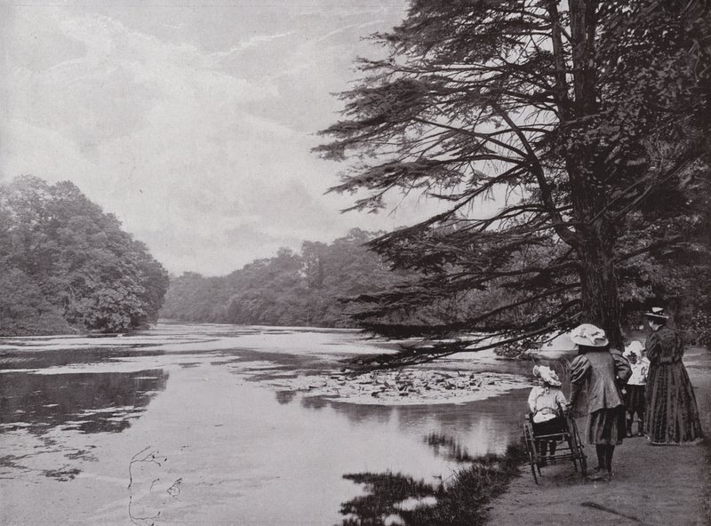 Wanstead Park af English Photographer