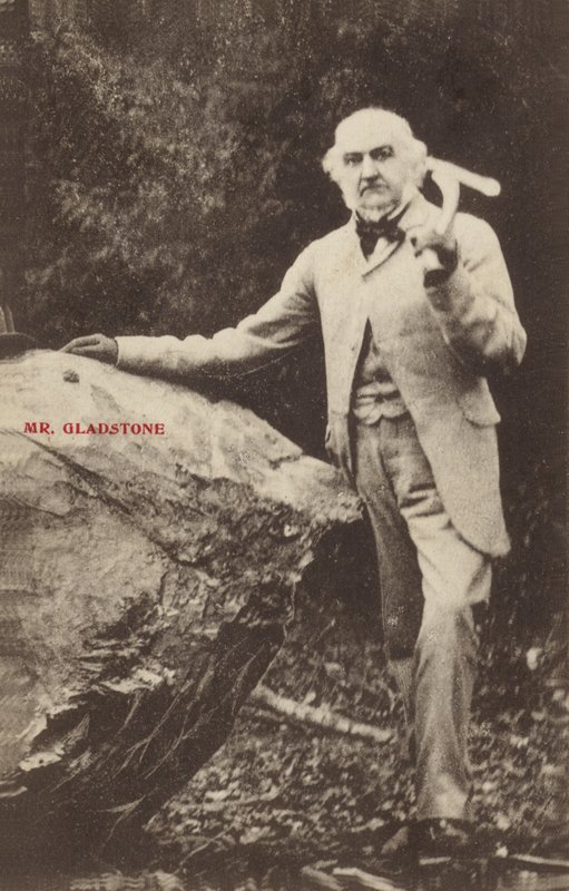 William Ewart Gladstone af English Photographer