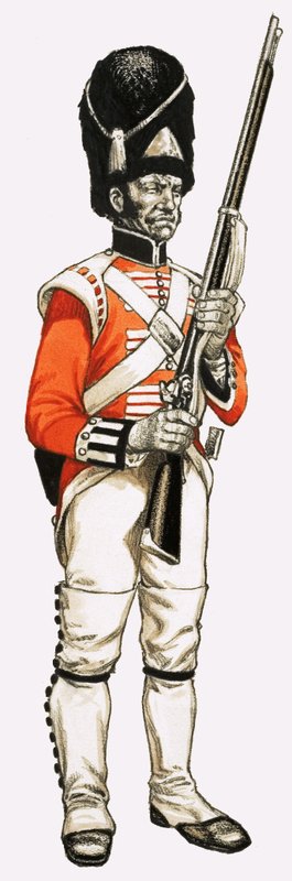 92. Foot Grenadier 1815 af English School