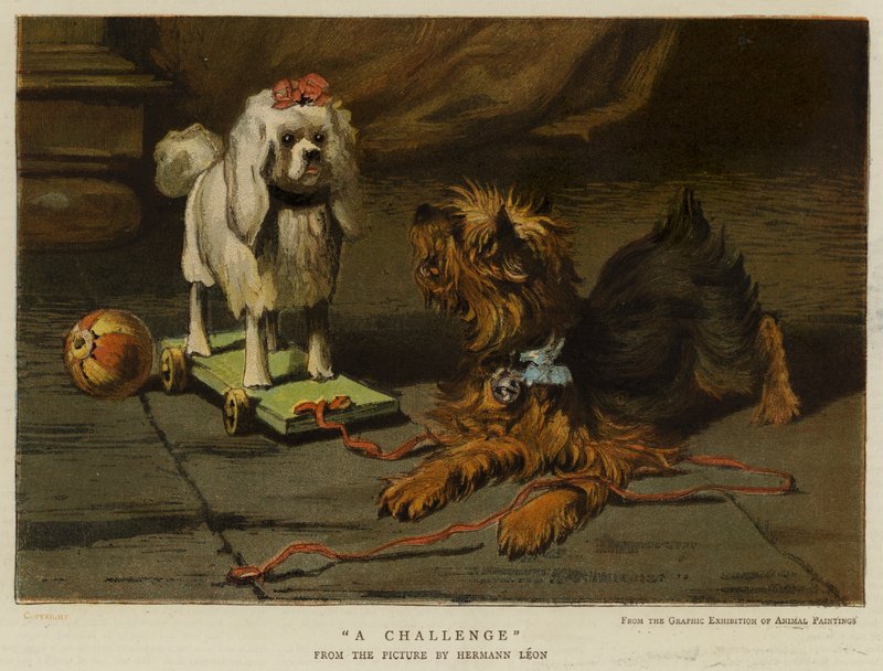 En udfordring (chromolitho) af English School