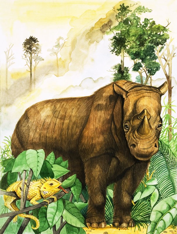 En frakke til at holde kulden ude, illustration fra 