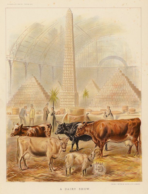 A Dairy Show (farvelitografi) af English School