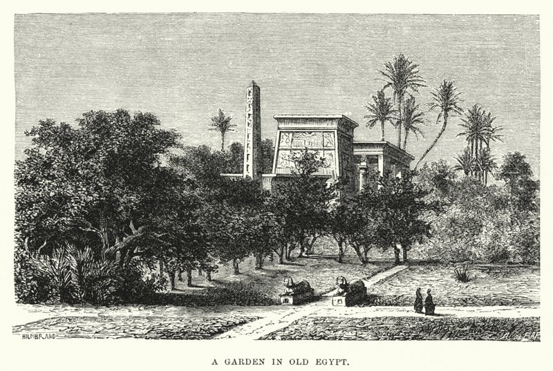 En have i det gamle Egypten (gravering) af English School