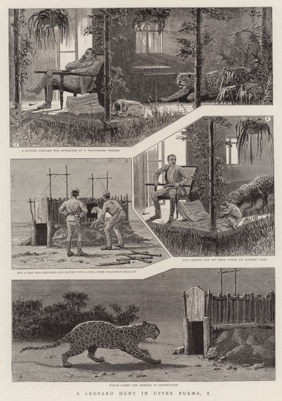 En leopardjagt i Øvre Burma, I (gravering) af English School