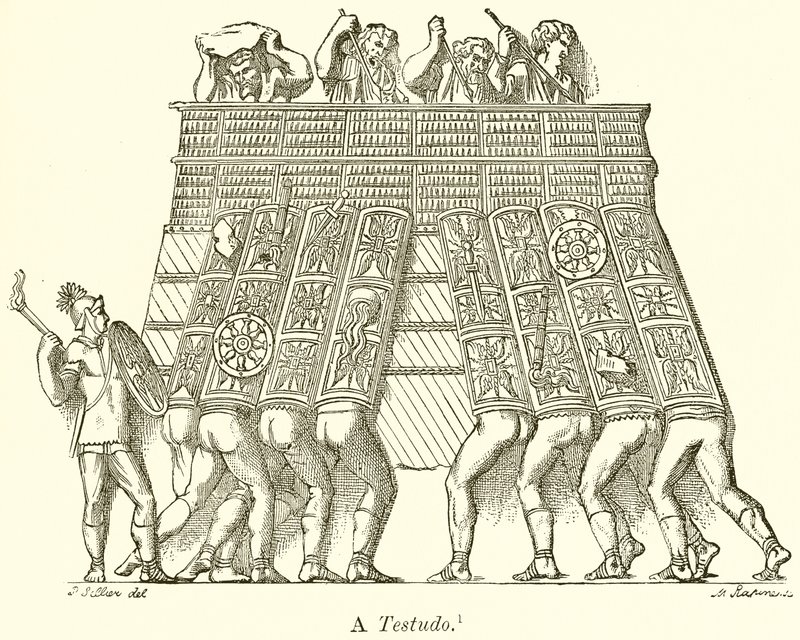 Til Testudo af English School