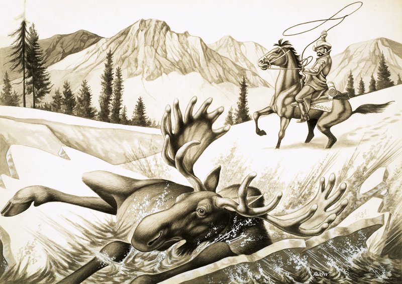 En cowboy i British Columbia slæber en tyr elg af English School