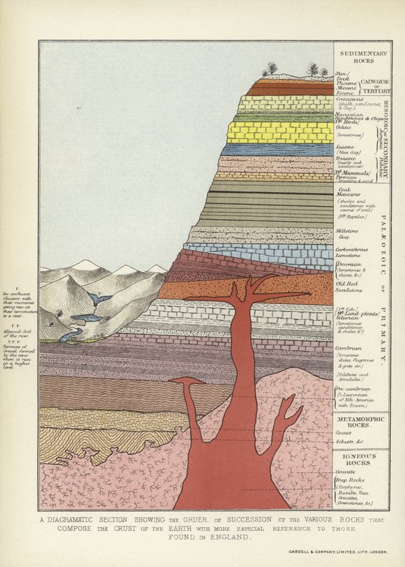 Et diagrammatisk afsnit, der viser rækkefølgen af de forskellige klipper, der udgør jordskorpen med mere speciel reference til dem, der findes i England af English School