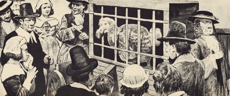 En dodo, der udstilles i det syttende århundredes England (litho) af English School