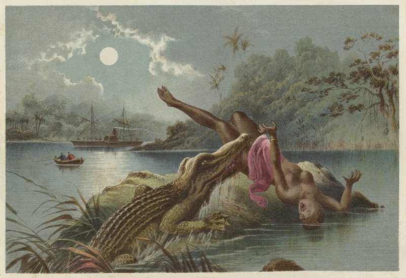 A frightful incident, crocodile attacking native girl  af English School