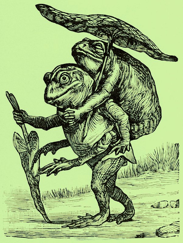 En venlig ægtemand, illustration fra Coles Funny Picture Book (digitalt forbedret billede) af English School