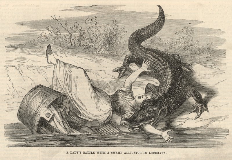 En kvindekamp med en sump-alligator i Louisiana af English School