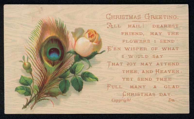 En påfuglefjer og en rose, julehilsenskort. (chromolitho) af English School
