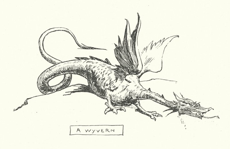 A wyvern (engraving) af English School