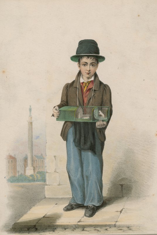 En ung dreng afbilledet holder et bur med hvide mus af English School