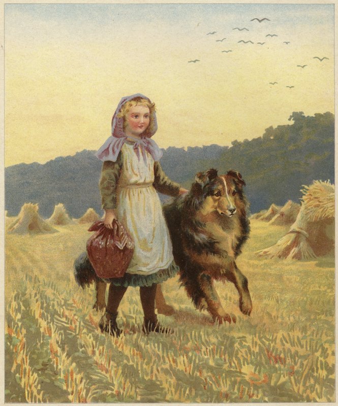 En ung pige, der står på en mark med sin hånd på sin collie-hund af English School