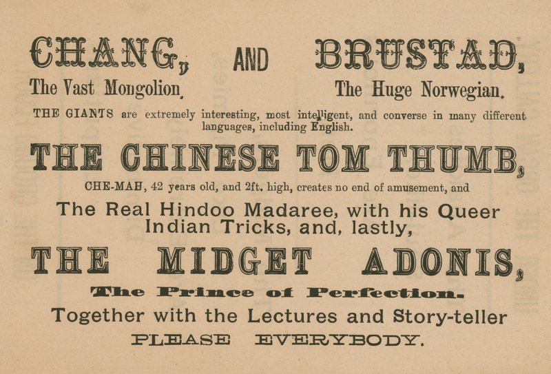 Annoncer for optrædener af Chang, Brustad, The Chinese Tom Thumb og The Midget Adonis af English School