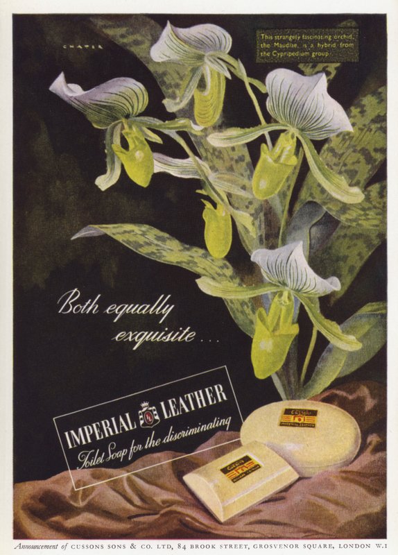 Annonce for Cussons Imperial Lædersæbe (farve litho) af English School