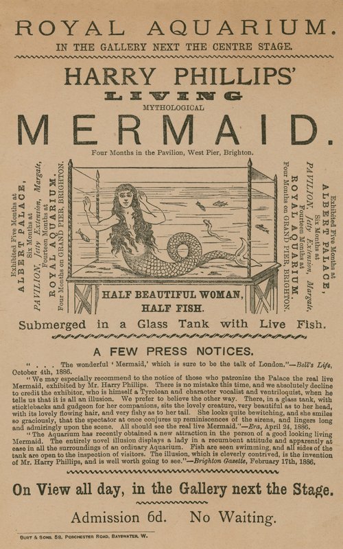 Annonce for Harry Phillips Living Mythological Mermaid af English School
