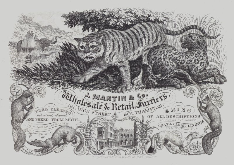 Annonce for J Martin & Co, engros- og detail-buntmagere, Southampton, Hampshire (litho) af English School