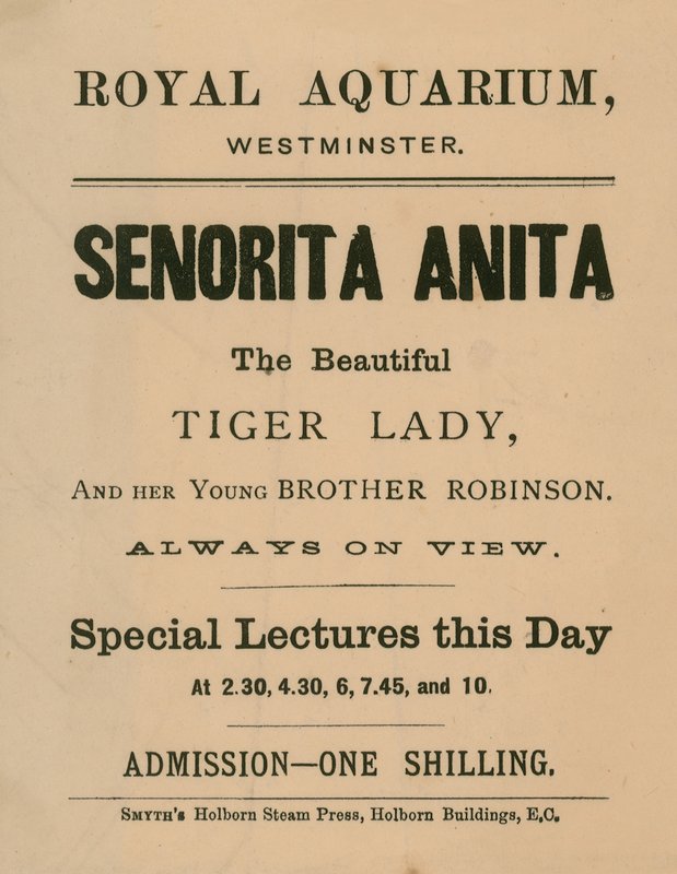 Annonce for Senorita Anita af English School