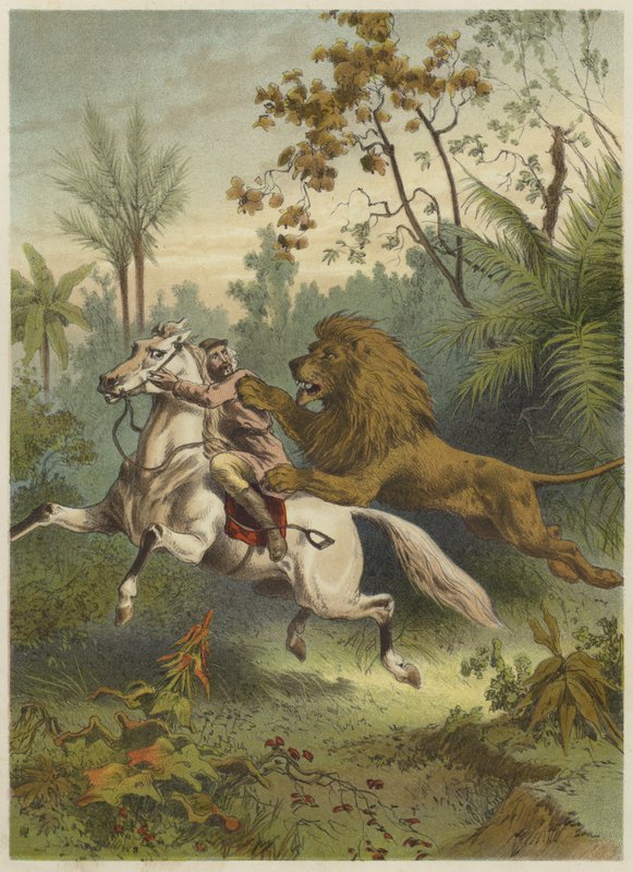 African traveller attacked by a lion  af English School