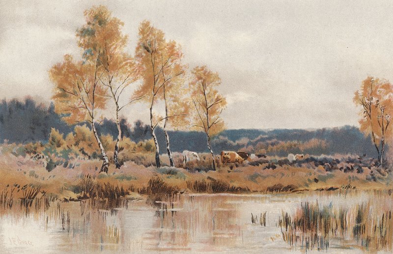 Efter oktobers bidende frost (chromolitho) af English School
