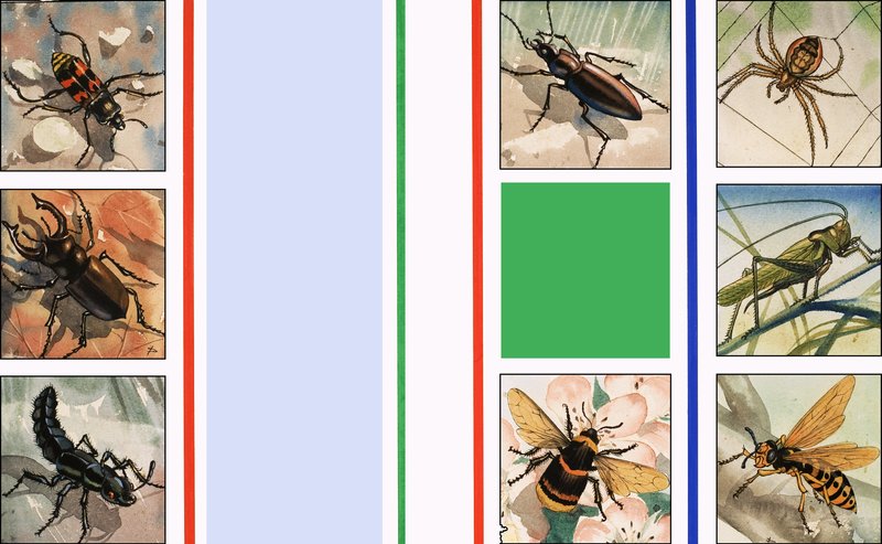 Alle mulige insekter af English School