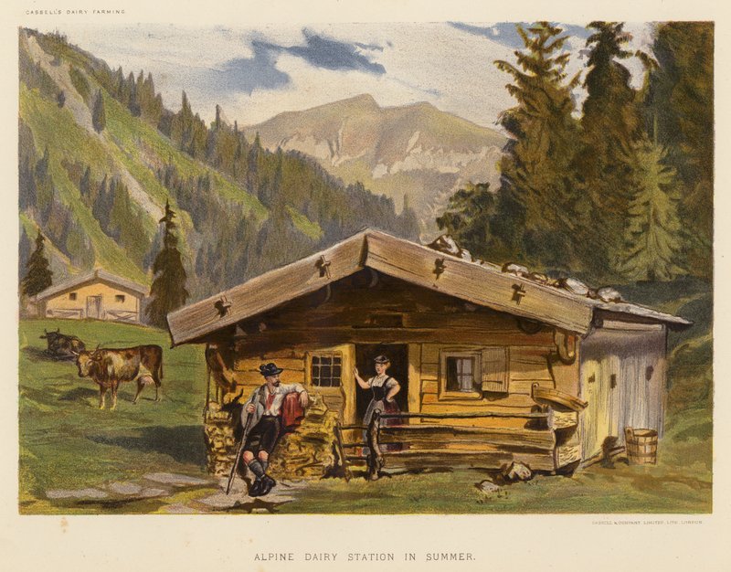 Alpine Dairy Station om sommeren (farvelitografi) af English School