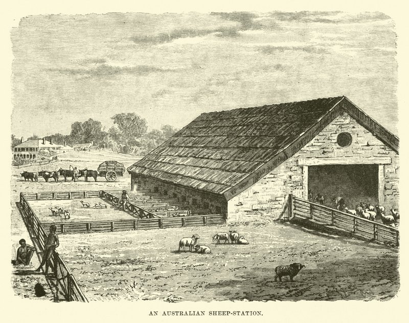 En australsk fårestation af English School