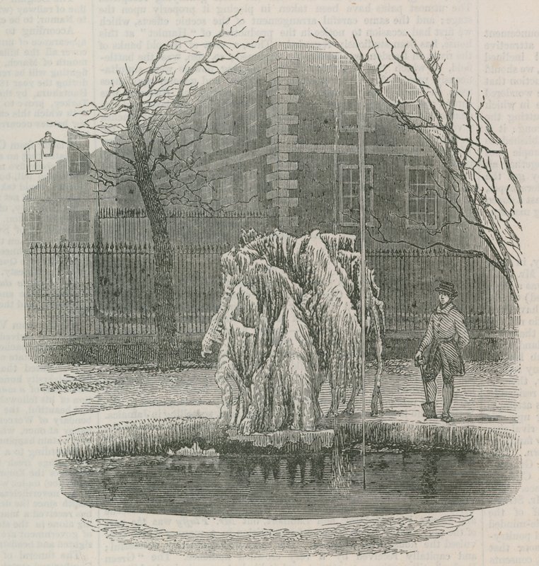 Et istræ i det midterste tempel af English School