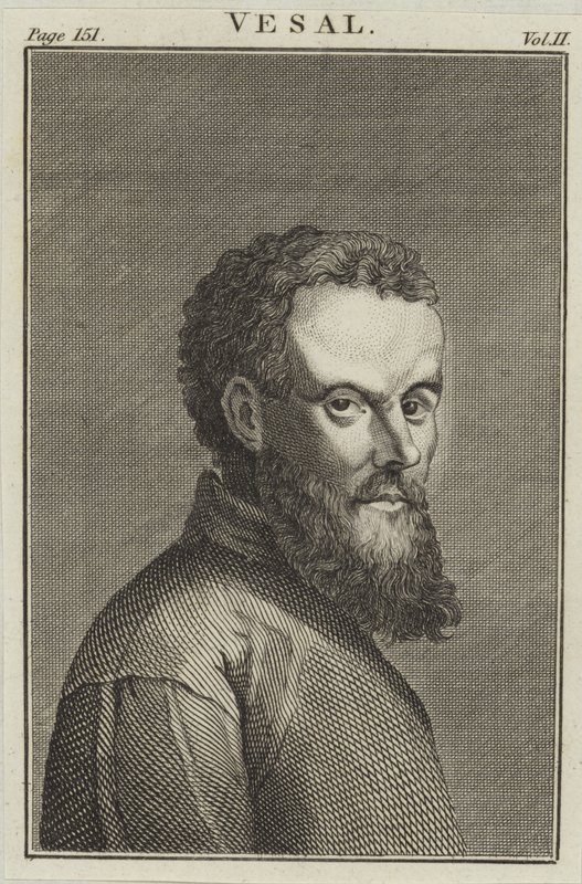 Andreas Vesalius af English School