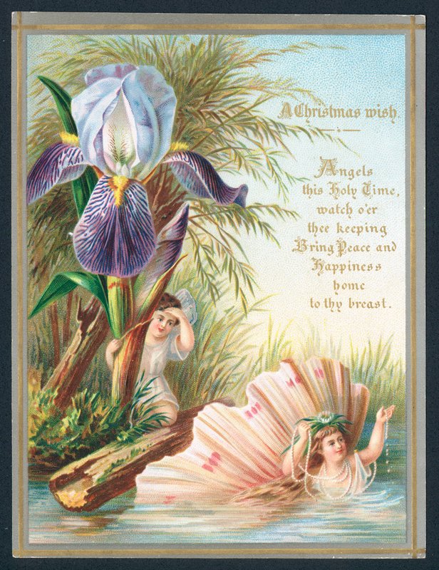 Engle og Iris blomst, julekort af English School