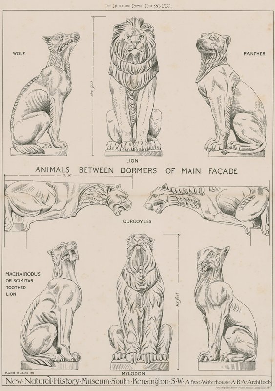 Dyr mellem kviste på hovedfacaden på det nye Natural History Museum, South Kensington af English School