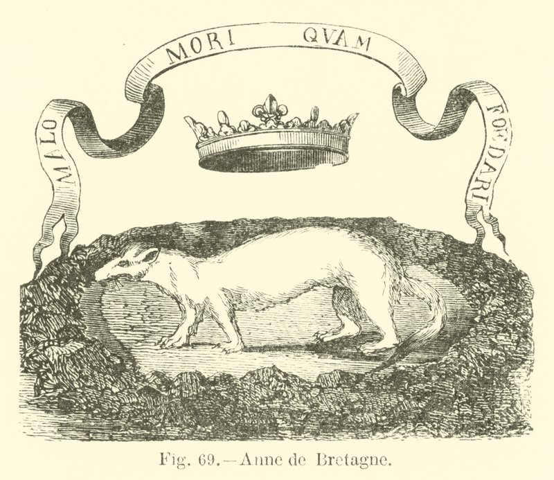 Anne af Bretagne af English School