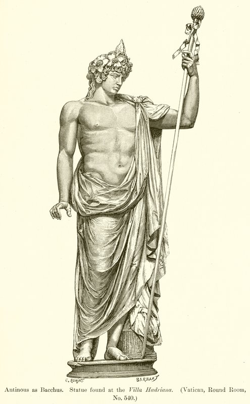 Antinøs som Bacchus. Statue fundet ved Villa Hadriana. (Vatikanet, rundt værelse, nr. 540) af English School