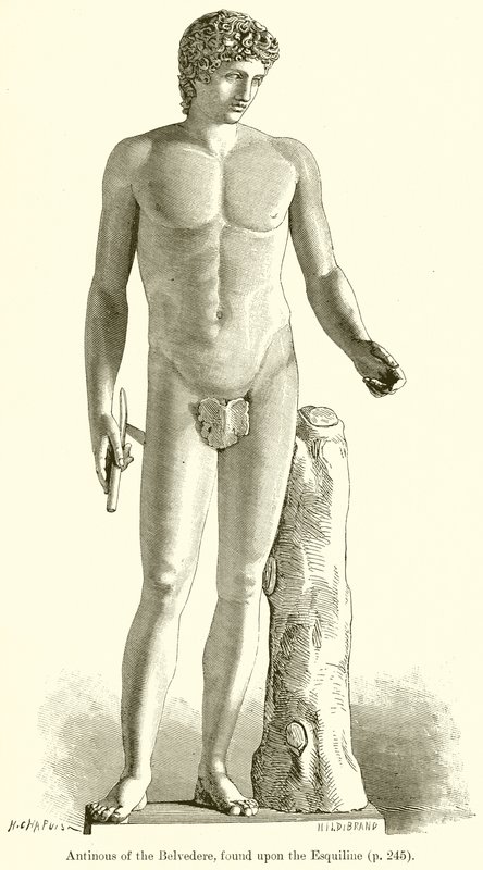 Antinous fra Belvedere, fundet på Esquiline af English School