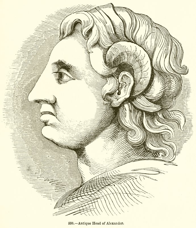 Antik hoved af Alexander af English School
