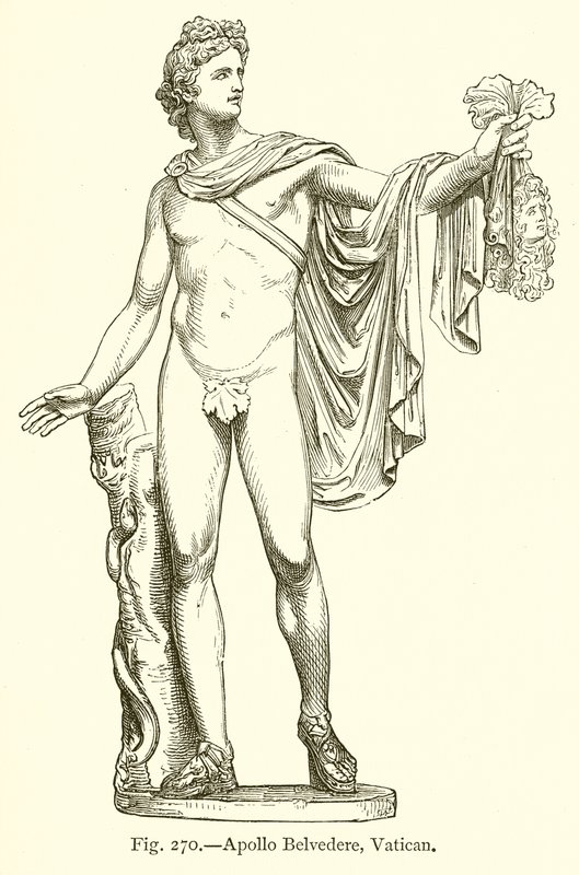 Apollo Belvedere, Vatikanet af English School