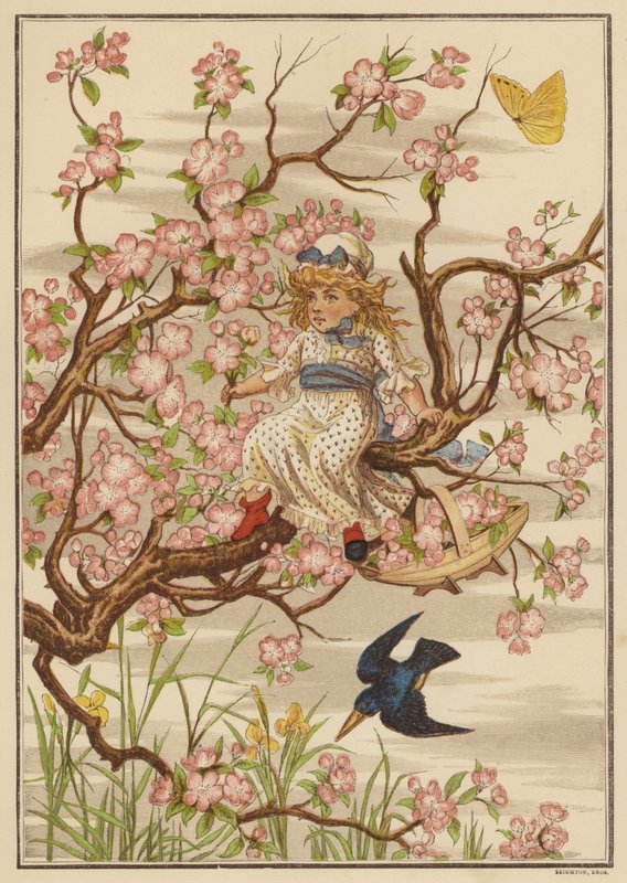 Æbleblomst (farve litho) af English School