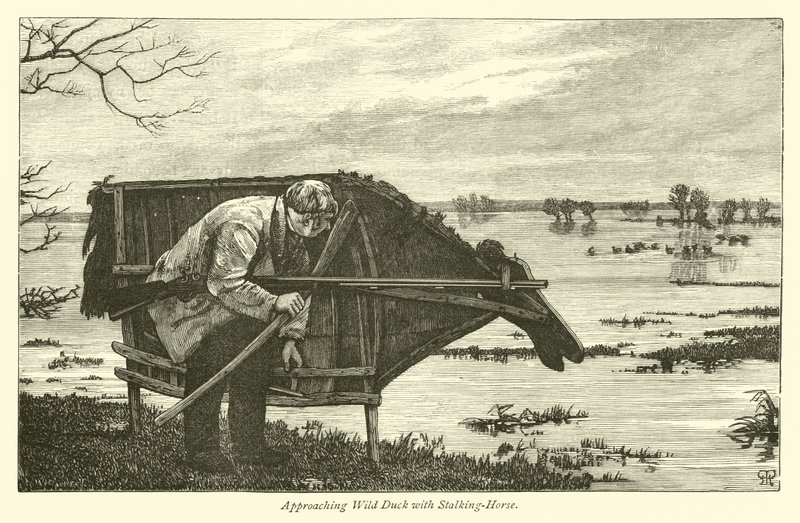 Approaching Wild Duck with Stalking-Horse  af English School