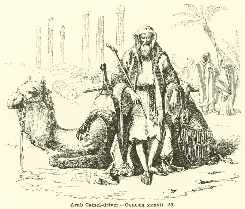 Arabisk kamelfører, Genesis, xxxvii, 25 af English School