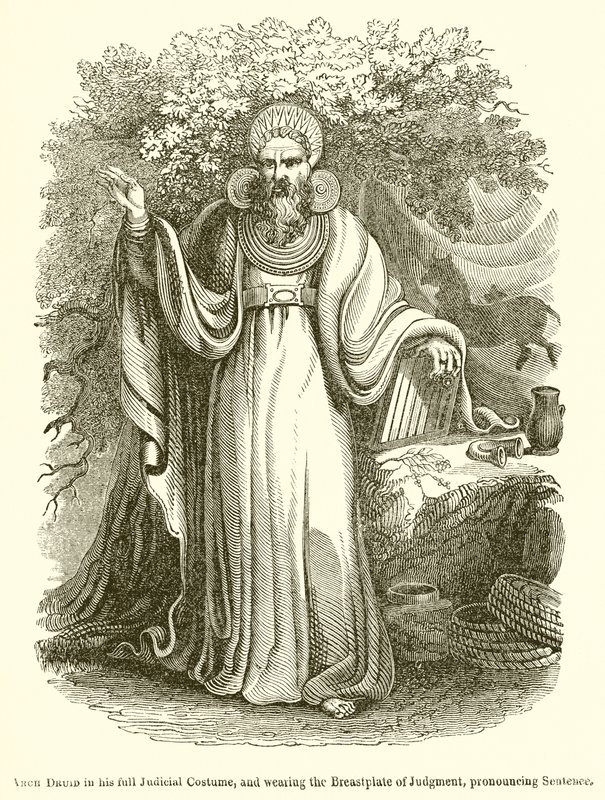Arch Druid i sit fulde retsdragt og iført dommens brystskjold, udtaler sætning af English School