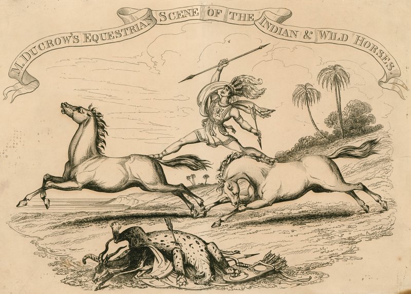 Astleys Amphitheatre, London - M Ducrows ridescene af Indian and Wild Horses af English School