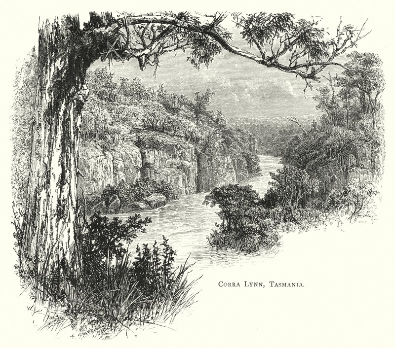 Australien: Corra Lynn, Tasmanien (gravering) af English School