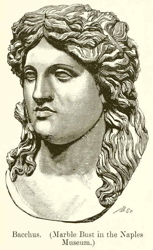 Bacchus. (Marmorbuste i Napoli-museet) (gravering) af English School