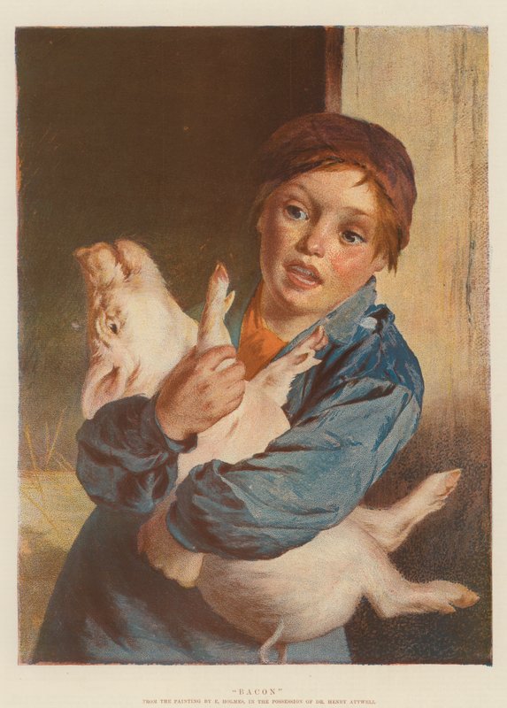 Bacon (chromolitho) af English School