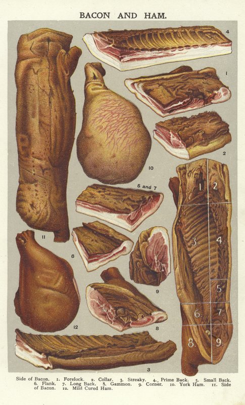 Bacon og skinke af English School